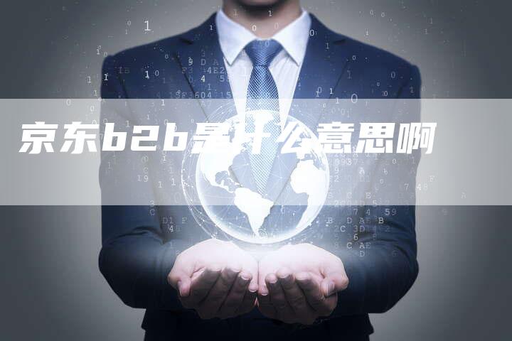 京东b2b是什么意思啊