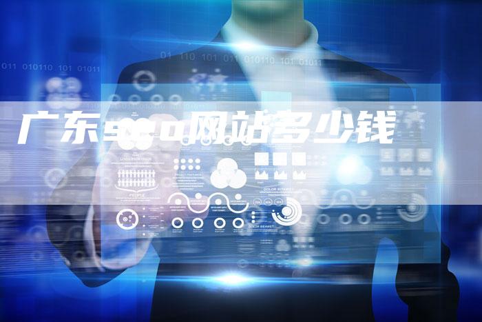 广东seo网站多少钱