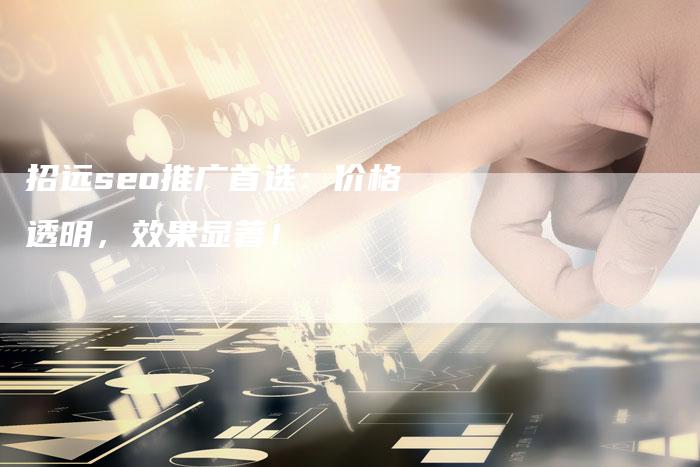 招远seo推广首选：价格透明，效果显著！