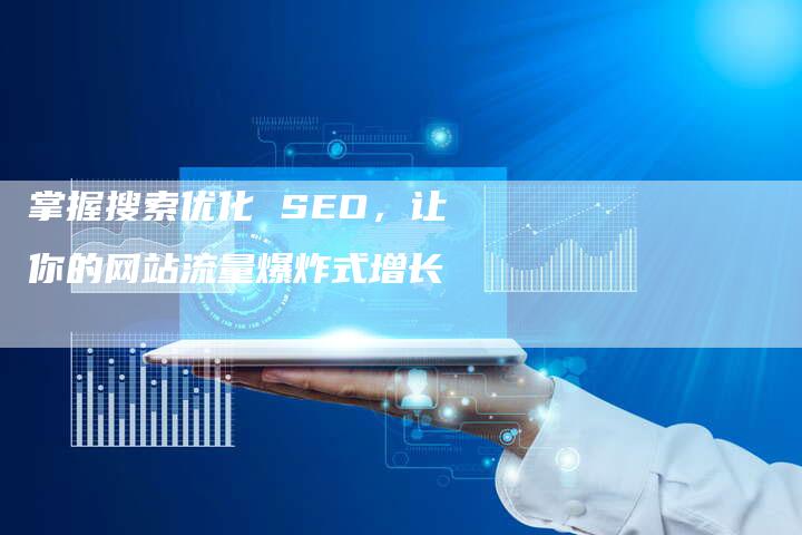 掌握搜索优化 SEO，让你的网站流量爆炸式增长