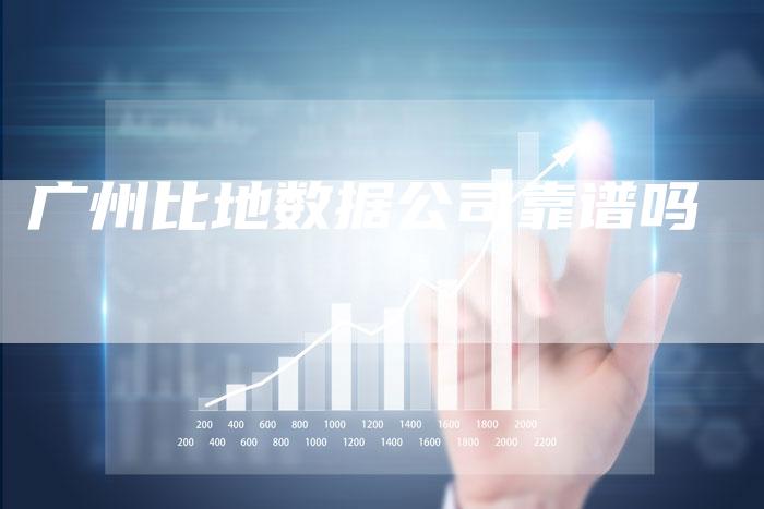 广州比地数据公司靠谱吗