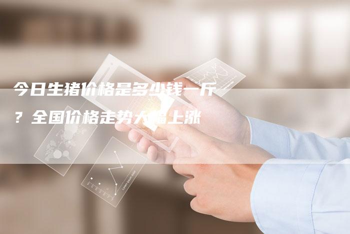 今日生猪价格是多少钱一斤？全国价格走势大幅上涨-速发外链网