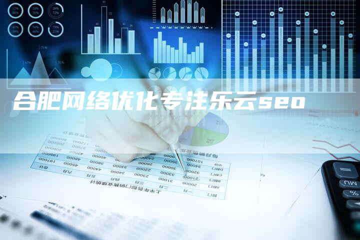 合肥网络优化专注乐云seo