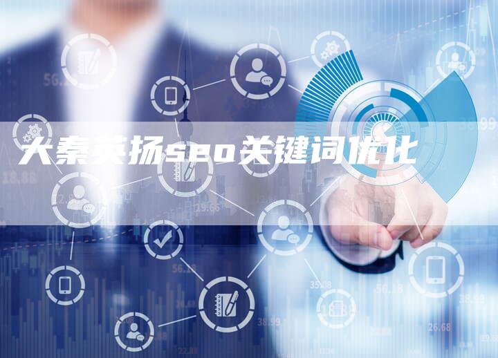 大秦英扬seo关键词优化