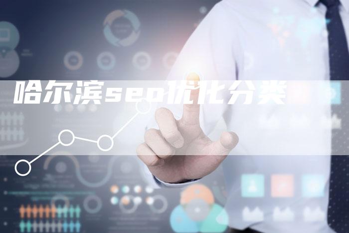 哈尔滨seo优化分类