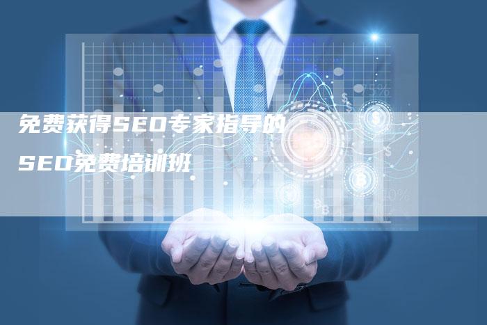 免费获得SEO专家指导的SEO免费培训班-速发外链网