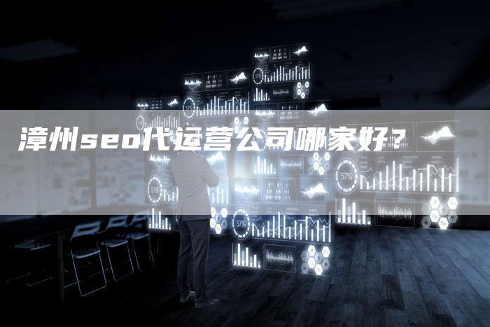 漳州seo代运营公司哪家好？