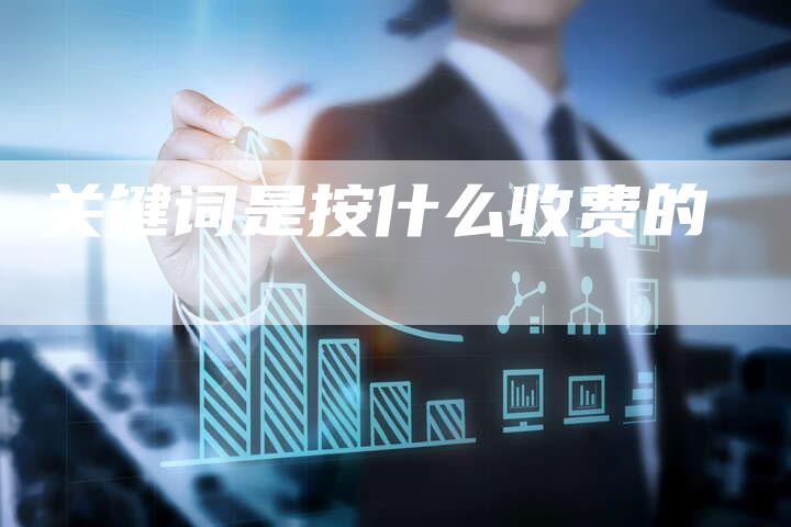 关键词是按什么收费的
