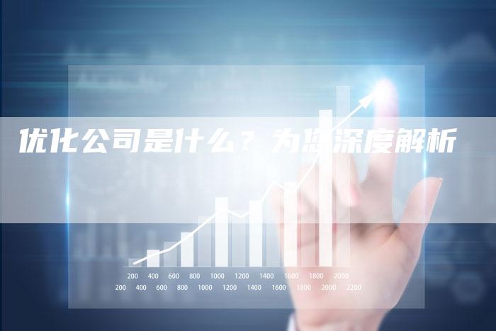 优化公司是什么？为您深度解析