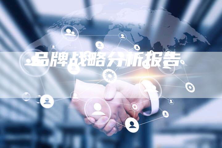 品牌战略分析报告