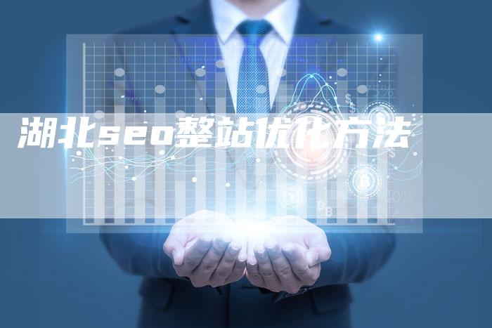 湖北seo整站优化方法
