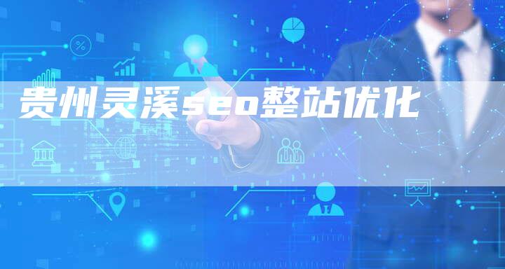 贵州灵溪seo整站优化