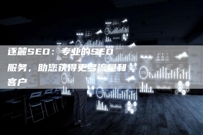 逐麓SEO：专业的SEO服务，助您获得更多流量和客户