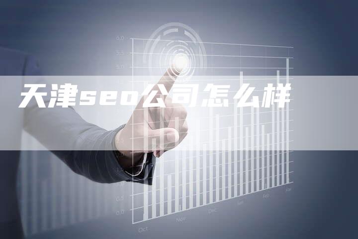 天津seo公司怎么样