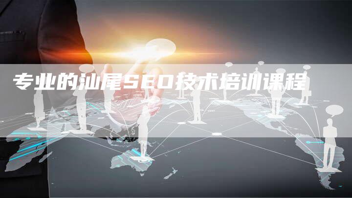 专业的汕尾SEO技术培训课程-速发外链网