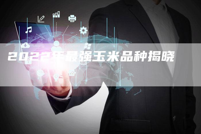 2022年最强玉米品种揭晓-速发外链网