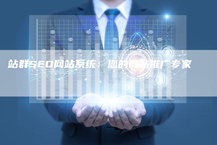 站群SEO网站系统：您的网站推广专家-速发外链网