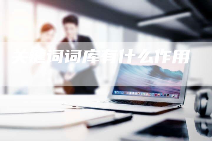 关键词词库有什么作用