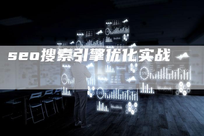 seo搜索引擎优化实战