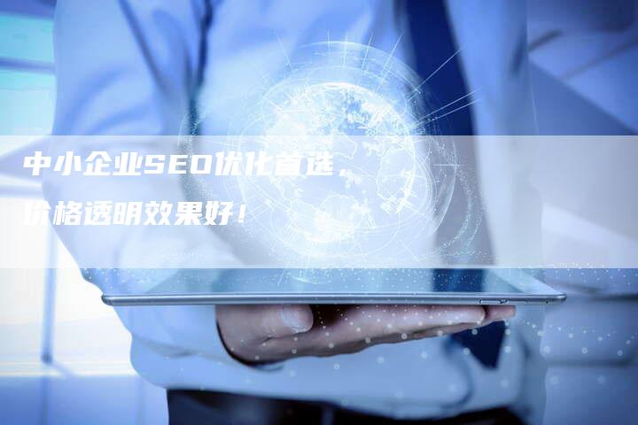 中小企业SEO优化首选，价格透明效果好！
