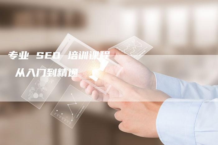 专业 SEO 培训课程  从入门到精通-速发外链网