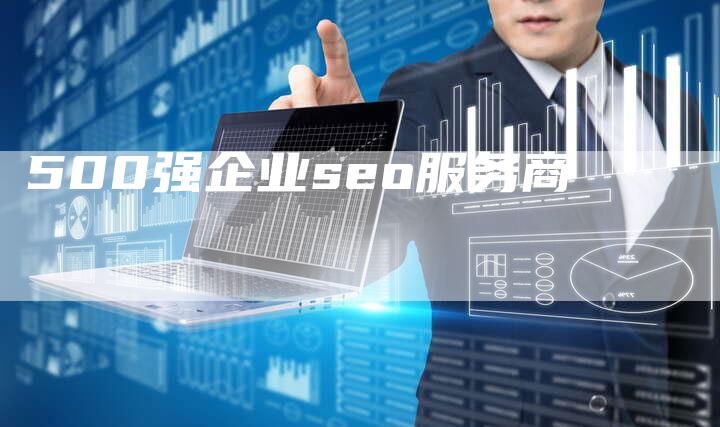 500强企业seo服务商