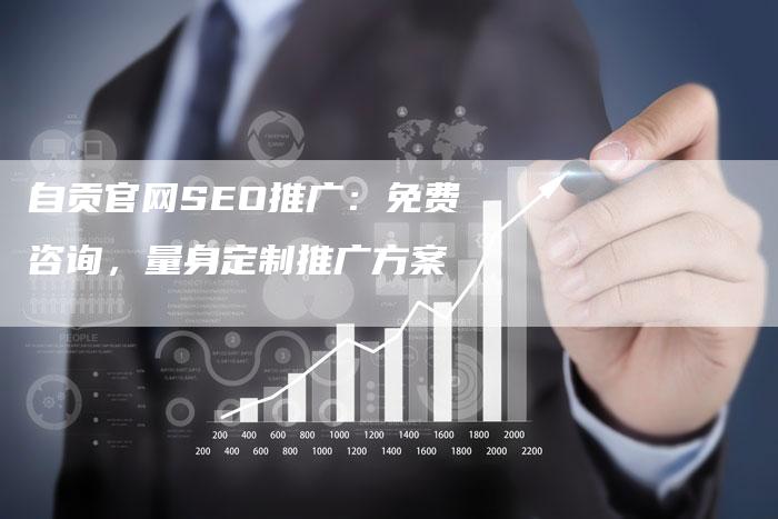 自贡官网SEO推广：免费咨询，量身定制推广方案-速发外链网