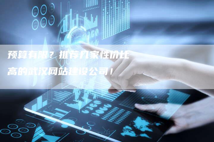 预算有限？推荐几家性价比高的武汉网站建设公司！-速发外链网