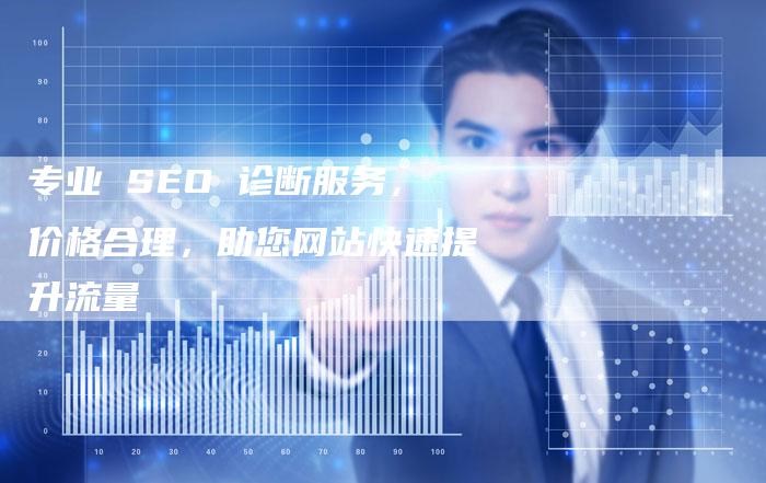 专业 SEO 诊断服务，价格合理，助您网站快速提升流量
