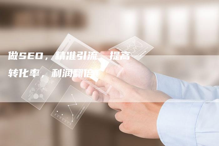 做SEO，精准引流，提高转化率，利润翻倍！