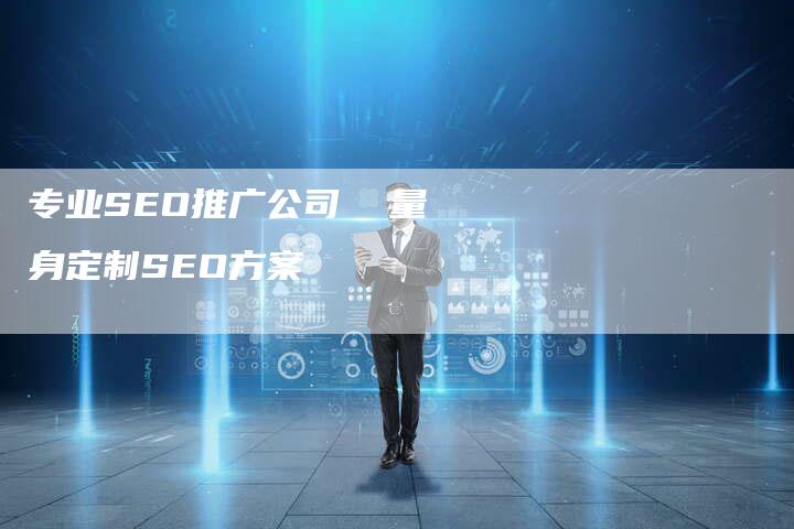 专业SEO推广公司 量身定制SEO方案-速发外链网