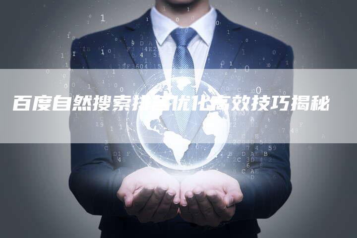 百度自然搜索排名优化高效技巧揭秘