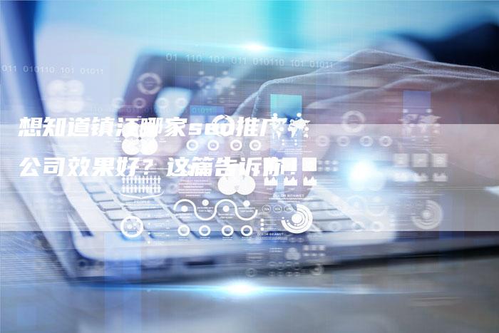 想知道镇江哪家seo推广公司效果好?这篇告诉你!-速发外链网