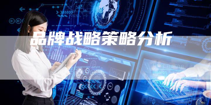 品牌战略策略分析