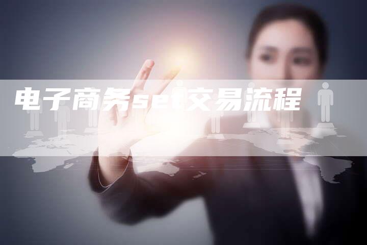 电子商务set交易流程