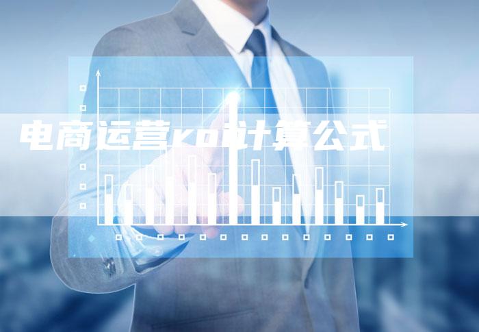 电商运营roi计算公式-速发外链网