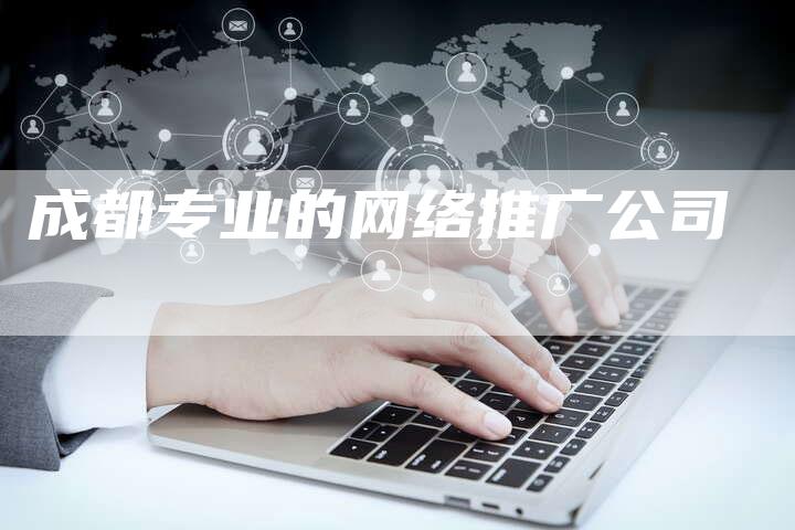 成都专业的网络推广公司