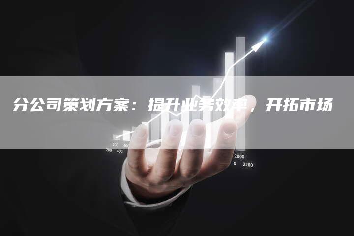 分公司策划方案：提升业务效率，开拓市场-速发外链网