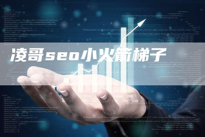 凌哥seo小火箭梯子