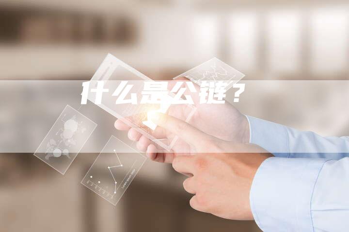 什么是公链？-速发外链网