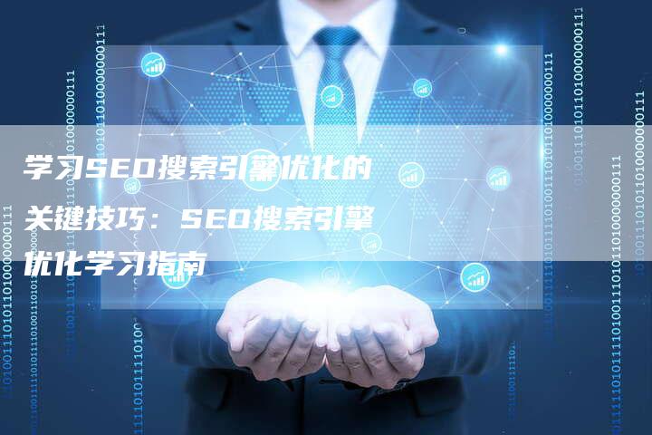 学习SEO搜索引擎优化的关键技巧：SEO搜索引擎优化学习指南