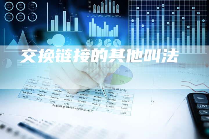 交换链接的其他叫法