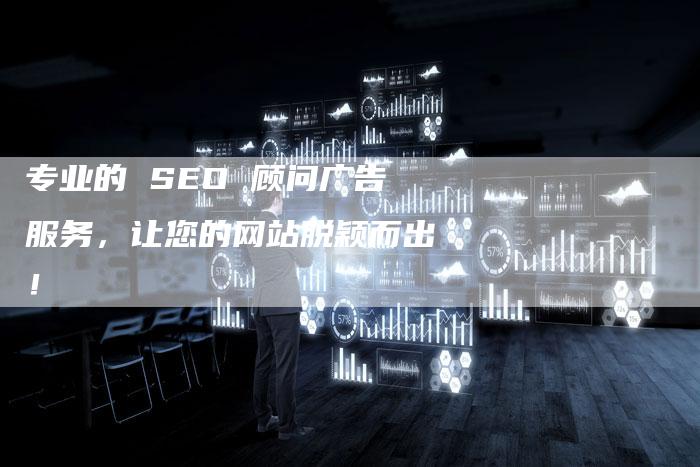 专业的 SEO 顾问广告服务，让您的网站脱颖而出！