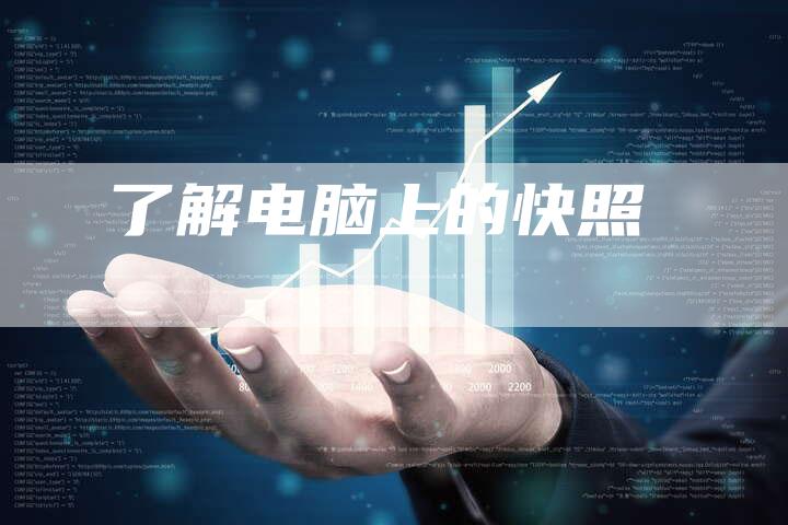 了解电脑上的快照