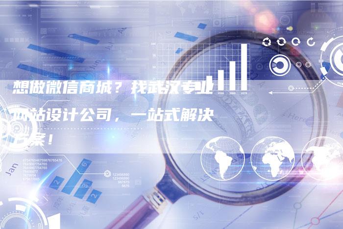 想做微信商城？找武汉专业网站设计公司，一站式解决方案！