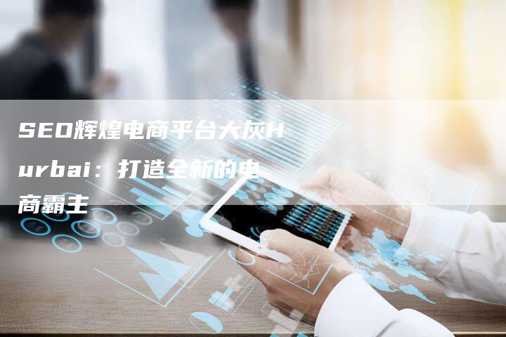 SEO辉煌电商平台大灰Hurbai：打造全新的电商霸主