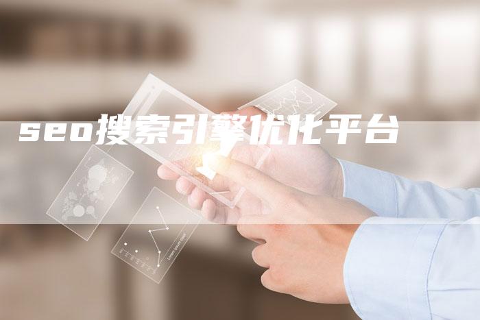 seo搜索引擎优化平台