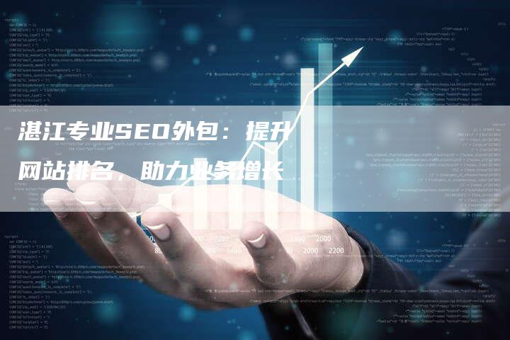 湛江专业SEO外包：提升网站排名，助力业务增长-速发外链网