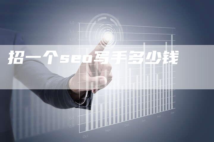 招一个seo写手多少钱