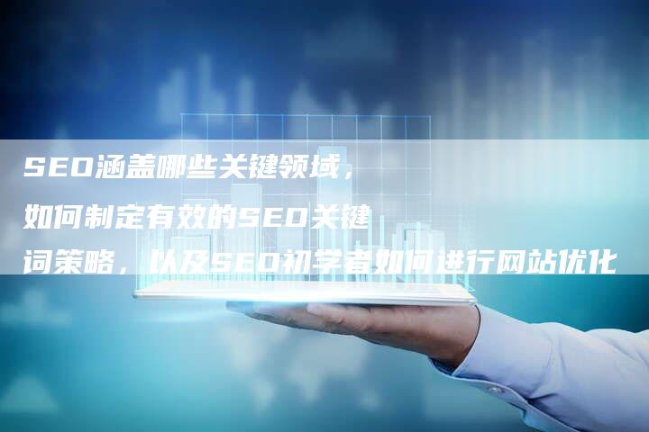 SEO涵盖哪些关键领域，如何制定有效的SEO关键词策略，以及SEO初学者如何进行网站优化-速发外链网